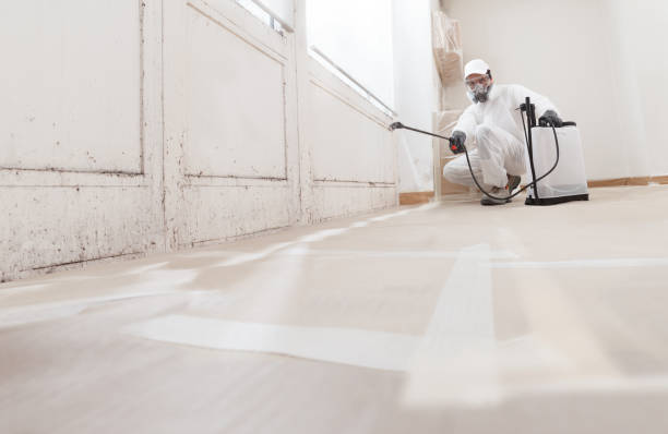 Black mold remediation team in Oakland
